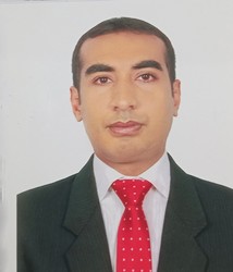MR. H.M. SHARIFUL ISLAM